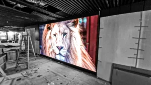 Custom LED display screens options including flexible and transparent technologies